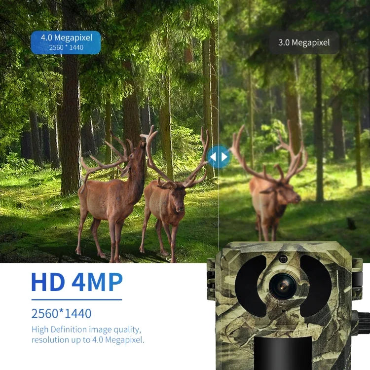 Image alt