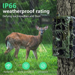 PR804G 4G EU Version 1080P HD Night Vision Infrared Hunting Camera, PR804G