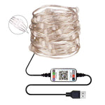 RGB USB  LED Copper Wire Light String Holiday Decoration Light String Bluetooth Mobile APP Control, 2m 20 LED, 5m 50 LED, 10m 100 LED, 12m 120 LED, 15m 150 LED, 20m 200 LED