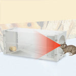 Door Humane Animal Live Cage, Rat, Mouse and More Small Rodents PP Material Transparent Cage Trap, Door Humane Animal Live Cage