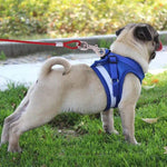 Double-end Steel Wire Rope Pet Dogs 2 in 1 Traction Rope Pet Walking Leads With Handle, Length: 10m,Random Color Delivery, Length: 10m