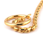 Close-up of a gold metal dog collar chain showcasing its braided design and smooth finish.