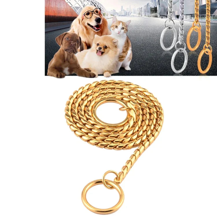Metal dog collar featuring solid golden snake chain, displayed with various dogs in an outdoor setting.