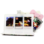 Flamingo Cactus Pattern 3 inch DIY PU Mini Creativity Insert Type 32 Pages Exquisite Photo Album for Polaroid, Flamingo Cactus