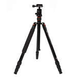 Triopo MT-2504C Adjustable Portable Aluminum Tripod with NB-1S Ball Head for Canon Nikon Sony DSLR Camera, MT-2504C (Black), MT-2504C (Gold)
