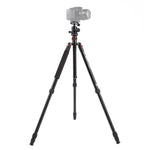 Triopo MT-2504C Adjustable Portable Aluminum Tripod with NB-1S Ball Head for Canon Nikon Sony DSLR Camera, MT-2504C (Black), MT-2504C (Gold)
