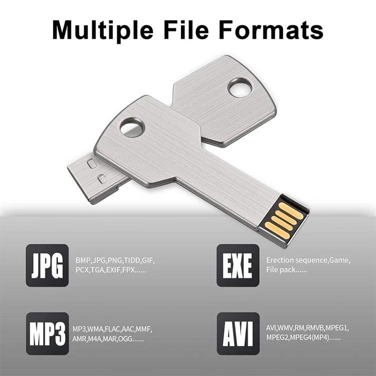 2GB Key USB Flash Disk, 2GB, 4GB, 8GB