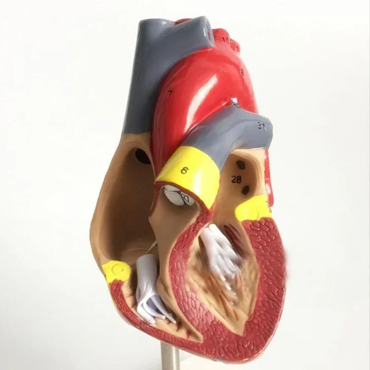 画像代替テキスト