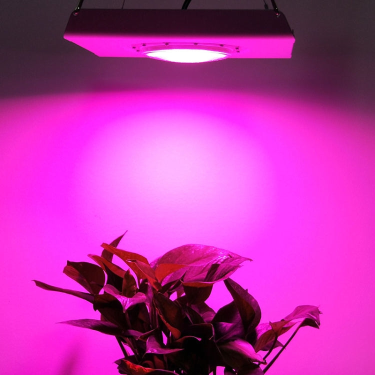 75W Plant Growth Light Ultra-Thin High-Brightness Full-Spectrum COB Indoor Greenhouse Light With Plug, EU Plug