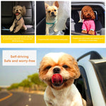 Nylon Harness Leash Clip Pet Dog Car Seat Belt Security Belt, Black, Blue, Red