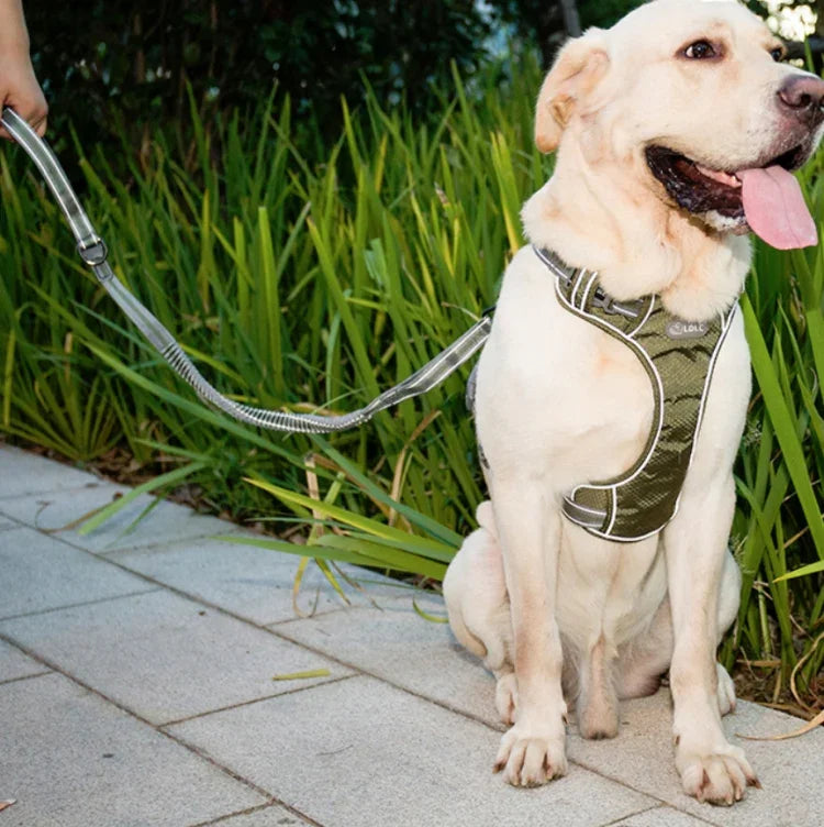 Dog Outdoor Anti-Scourge Traction Rope Nylon Reflective Elastic Stretch Dog Walking Rope, Elastic Stretch Yellow, Elastic Stretch Green