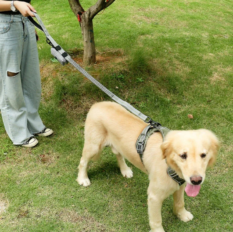 Dog Outdoor Anti-Scourge Traction Rope Nylon Reflective Elastic Stretch Dog Walking Rope, Elastic Stretch Yellow, Elastic Stretch Green