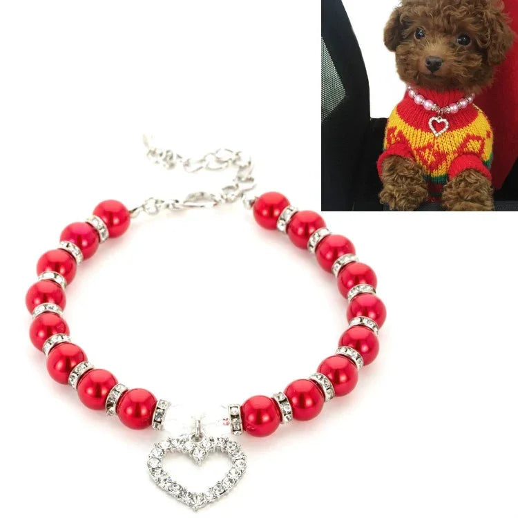 Pet Collars, Leashes & Harnesses