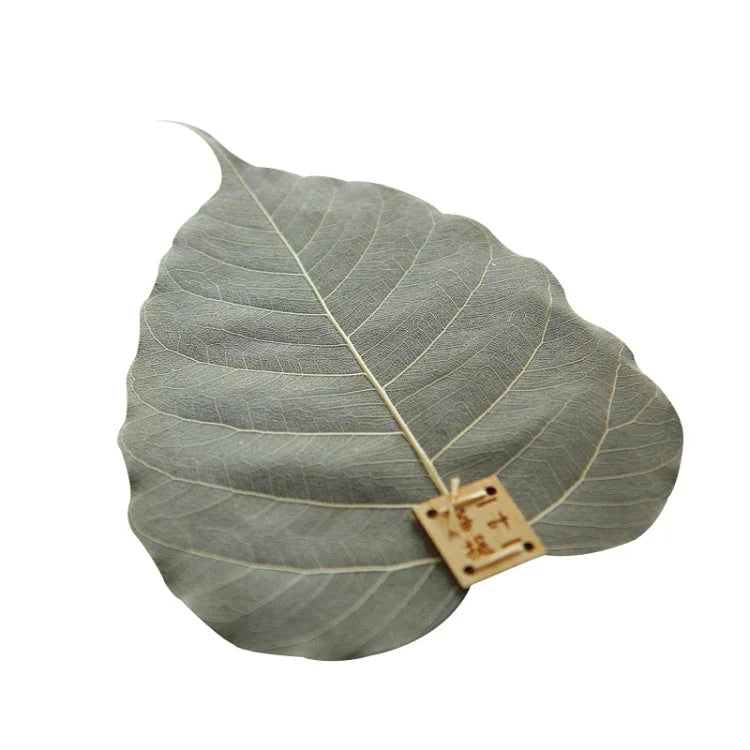 Creative Personality Natural Bodhi Leaf Filter Tea Leak, Bodhi Leaf