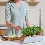 H003 Intelligent Hydroponic Vegetable Planting Machine Full-Spectrum Plant Growth Lamp Soil-Cultivation Vegetable Flower Pot