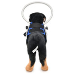 Dog Blindness Anti-Collision Ring Animal Protection Ring Cover Guide Ring, S, M