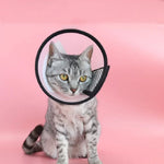 Pet Protective Headgear Cat And Dog Anti-Bite Collar After Cosmetic And Operation, Size: No.7/8cm, No.7, No.6, No.5, No.4, No.3