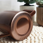 300ML Stainless Steel Watering Can with Long Spout, Bronze, Black