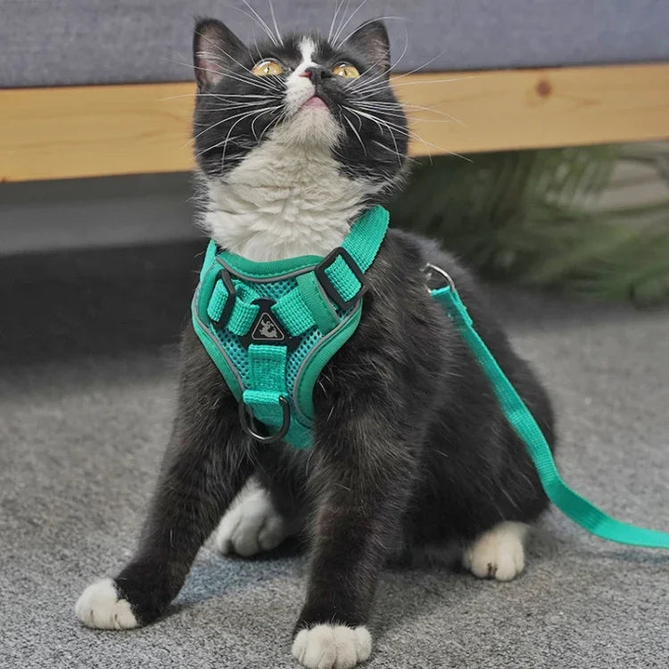 Pet Vest Harness + Traction Rope Set Reflective Breathable Dog Cat Harness, S, M, L, XL