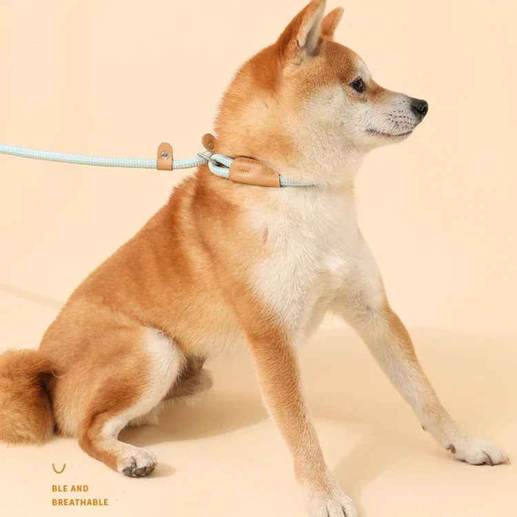 Dog Traction Rope Mid Large Dog Universal Safety Buckle Chain Circle, 1.5m x 0.6cm, 1.5m x 0.8cm, 1.5m x 1cm, 1.8m x 0.6cm, 1.8m x 0.8cm, 1.8m x 1cm