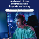 5.8G  Wireless In-ear Monitor System Support Dual-Earphone Monitoring, One To Two, One To Four