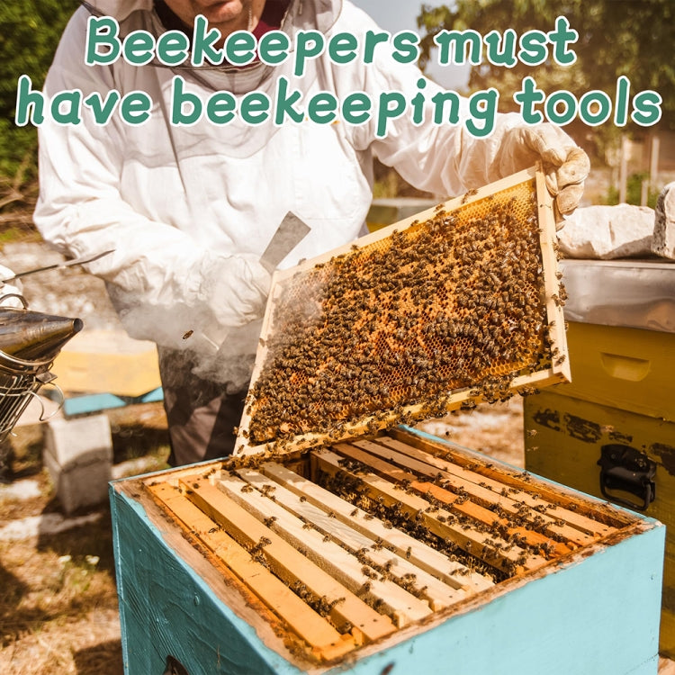 12-In-1 Beekeeping Starter Set Honey Bee Hive Tools