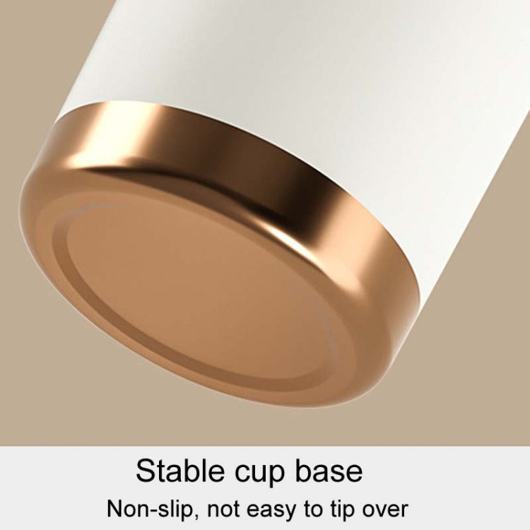 316 Stainless Steel Insulated Mug Portable Carry-On Dual Drink Coffee Cup With Straw, 500ml