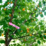 100 PCS Gardening Plant Sapling Seed Hanging Tree Label, Plant Label 5 White, Plant Label 5 Pink, Plant Label 5 Yellow, Plant Label 5 Green, Plant Label 5 Blue, Plant Label 5 Red