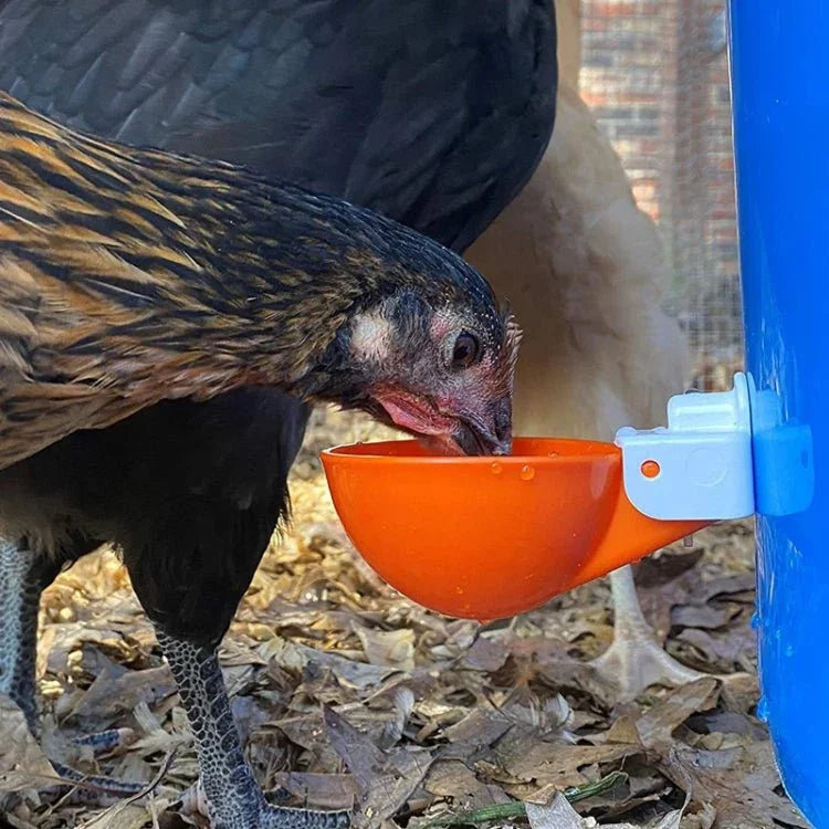 Automatic Chicken Waterer Cups Chicken Water Feeder Random Color - Trustpick
