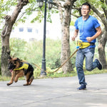 Lovoyager Pet Training Waist Bag Outdoor Walking Dog Snack Pocket - Trustpick