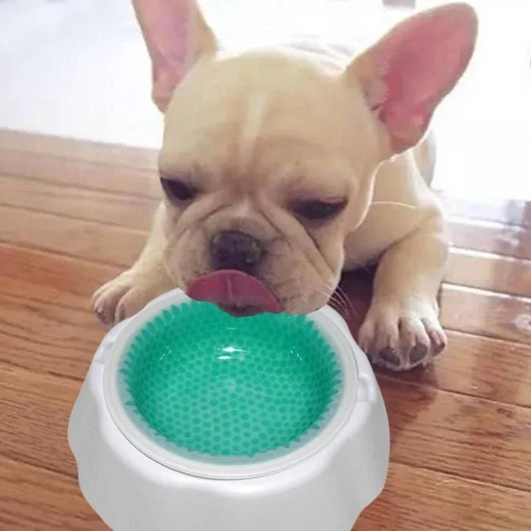 Pet Cooling Speed Cold Bowl Food Bowl - Trustpick